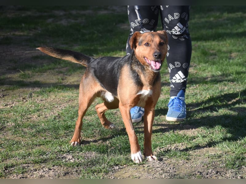 Ruhiger Felix *auf PS in 42855 Remscheid*