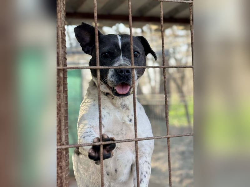 Liebenswerte Sheyran