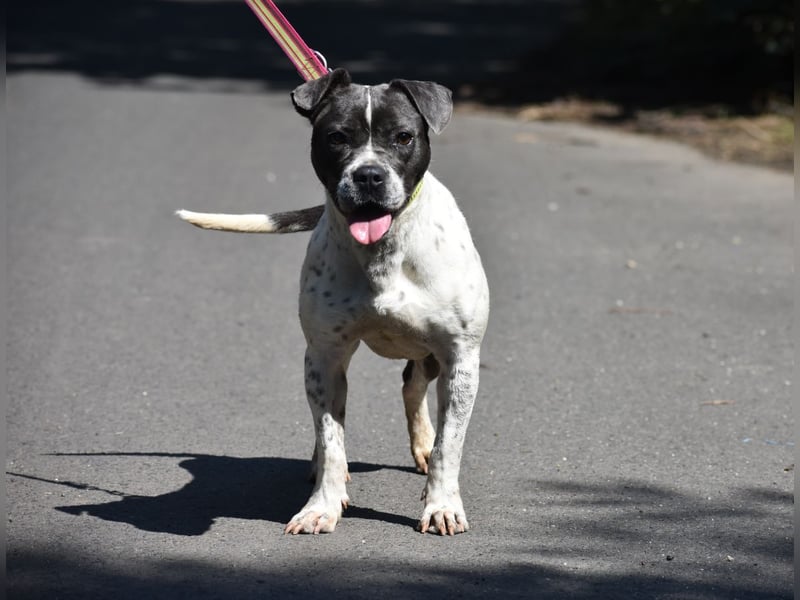 Liebenswerte Sheyran