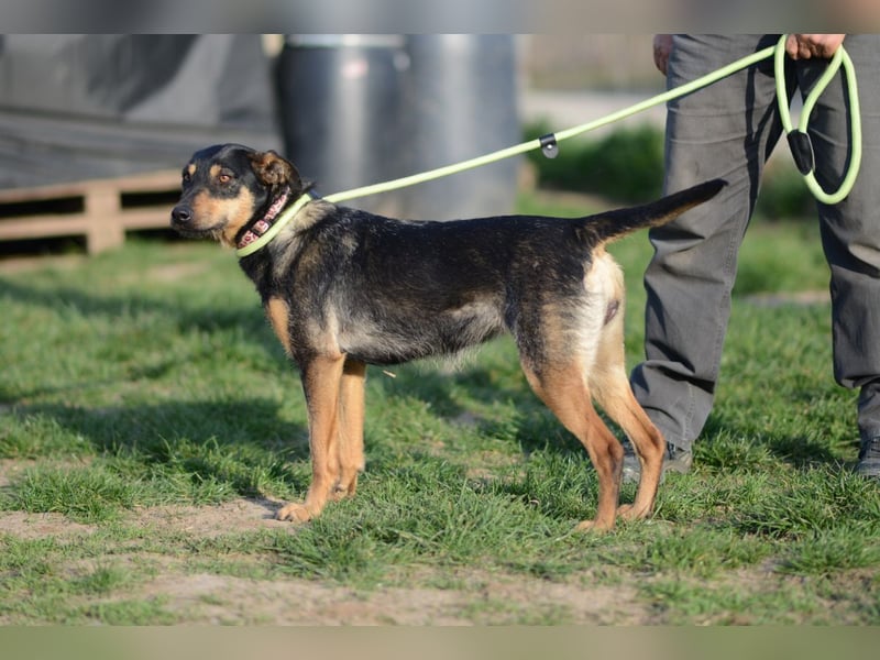 aufgeweckte Frieda