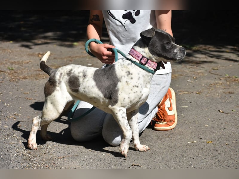 Liebenswerte Sheyran