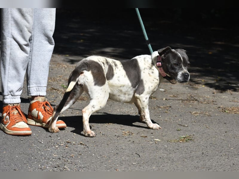 Liebenswerte Sheyran