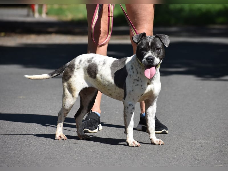 Liebenswerte Sheyran