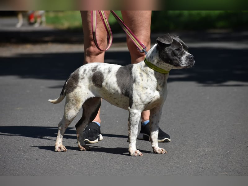 Liebenswerte Sheyran