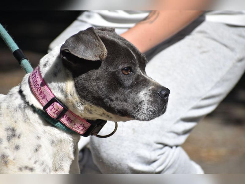 Liebenswerte Sheyran