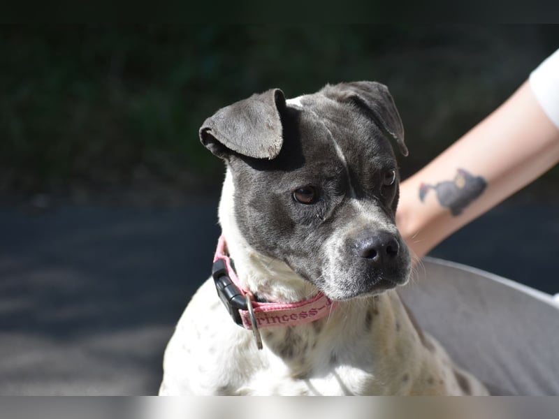 Liebenswerte Sheyran