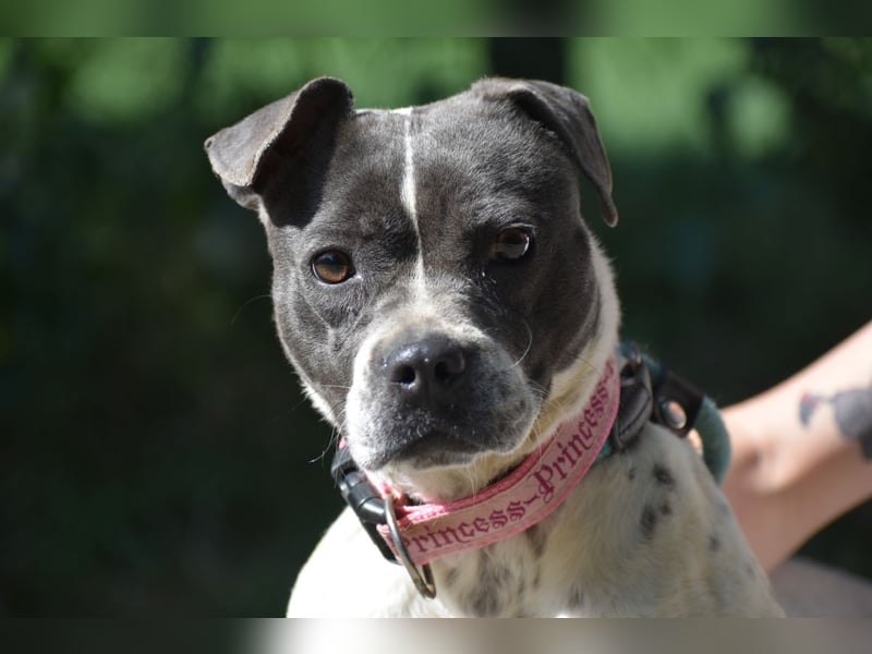 Liebenswerte Sheyran