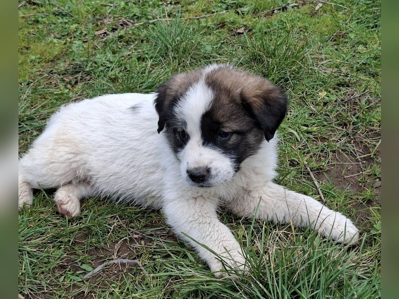 Berlin - möchte die Welt erobern! Mit Ihnen?