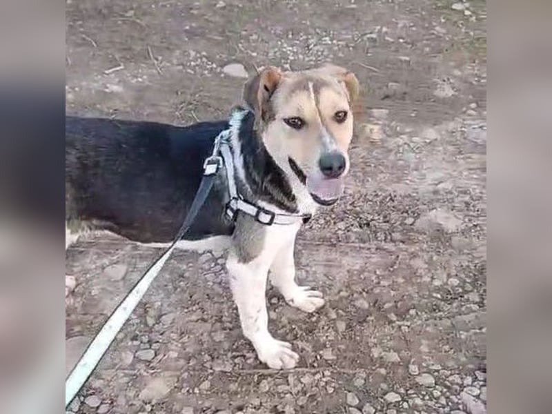 Tara-Joy - Lebensfreude pur