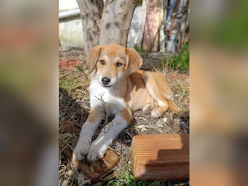 Palma - zu wem darf ich gehören?