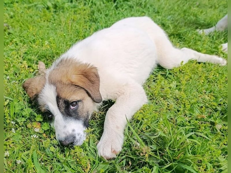 Berlin - möchte die Welt erobern! Mit Ihnen?