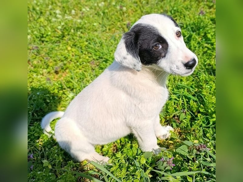 Boubou - wo darf ich einziehen?