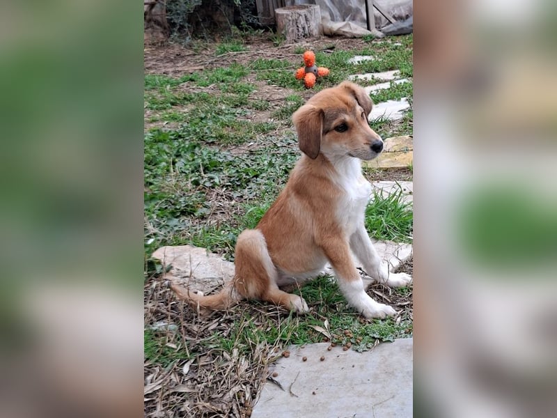 Palma - zu wem darf ich gehören?