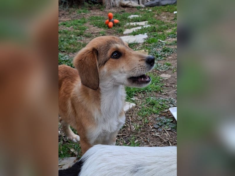 Palma - zu wem darf ich gehören?