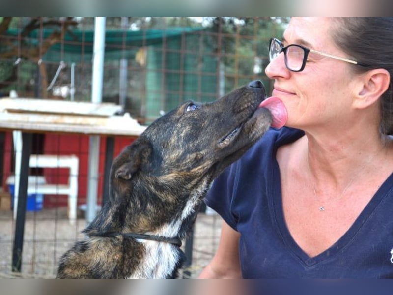 Electra - unentdeckte Traumhündin für aktive Menschen