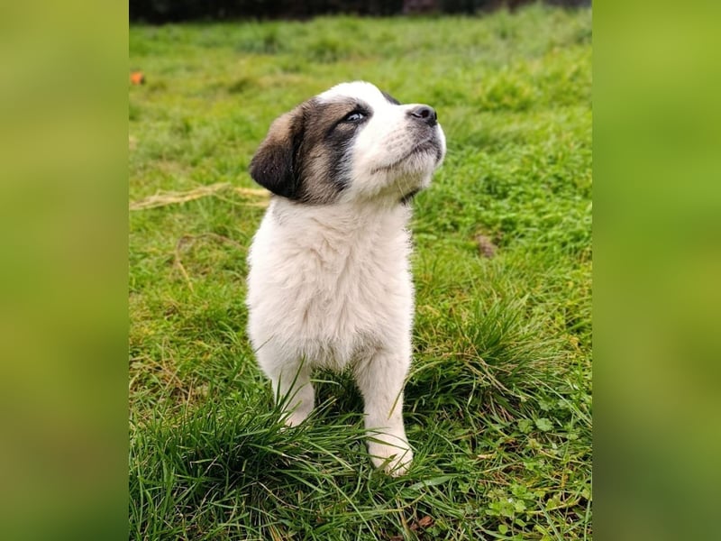 Berlin - möchte die Welt erobern! Mit Ihnen?