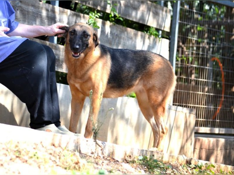 Saya - nach 7 Jahren jetzt eine tolle Verwandlung!