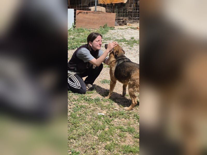 Saya - nach 7 Jahren jetzt eine tolle Verwandlung!