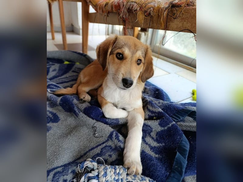 Palma - zu wem darf ich gehören?