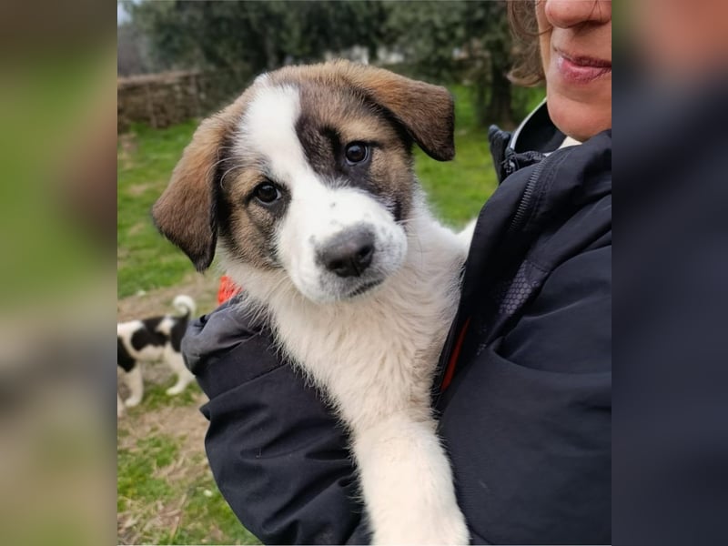 Berlin - möchte die Welt erobern! Mit Ihnen?