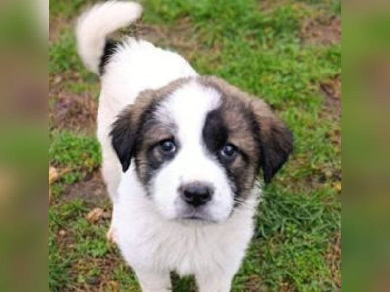 Berlin - möchte die Welt erobern! Mit Ihnen?