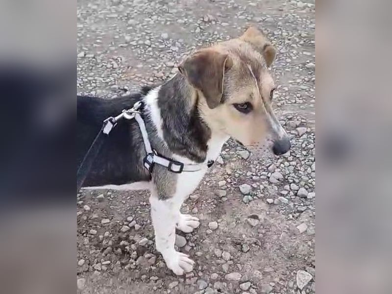 Tara-Joy - Lebensfreude pur