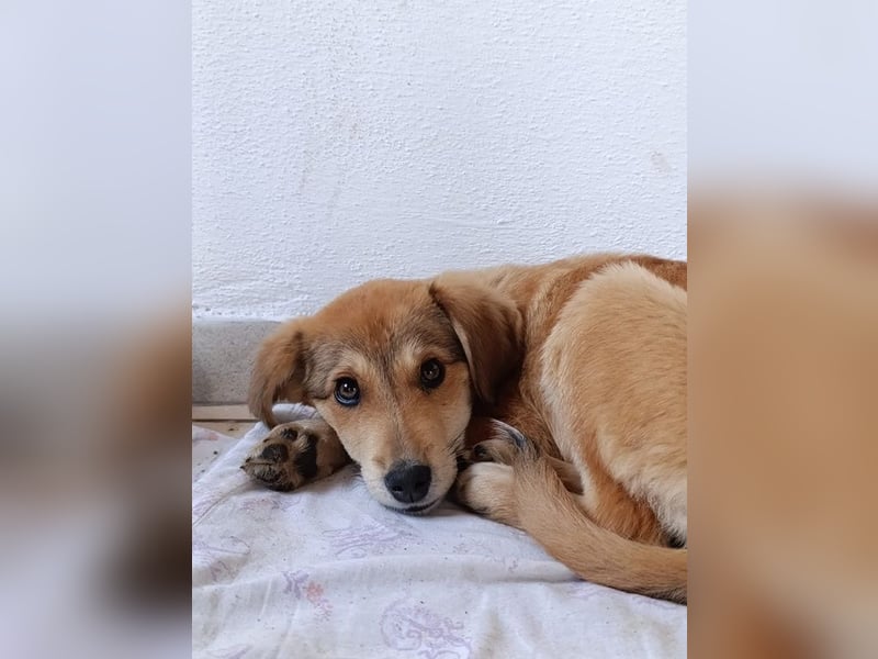 Palma - zu wem darf ich gehören?