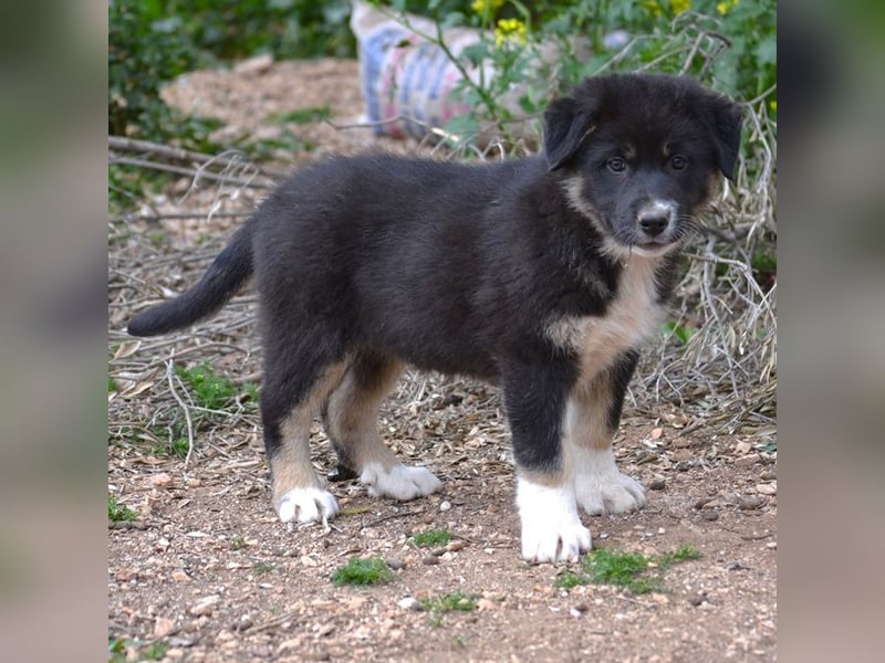 Troufa - wer entdeckt die Welt mit mir?