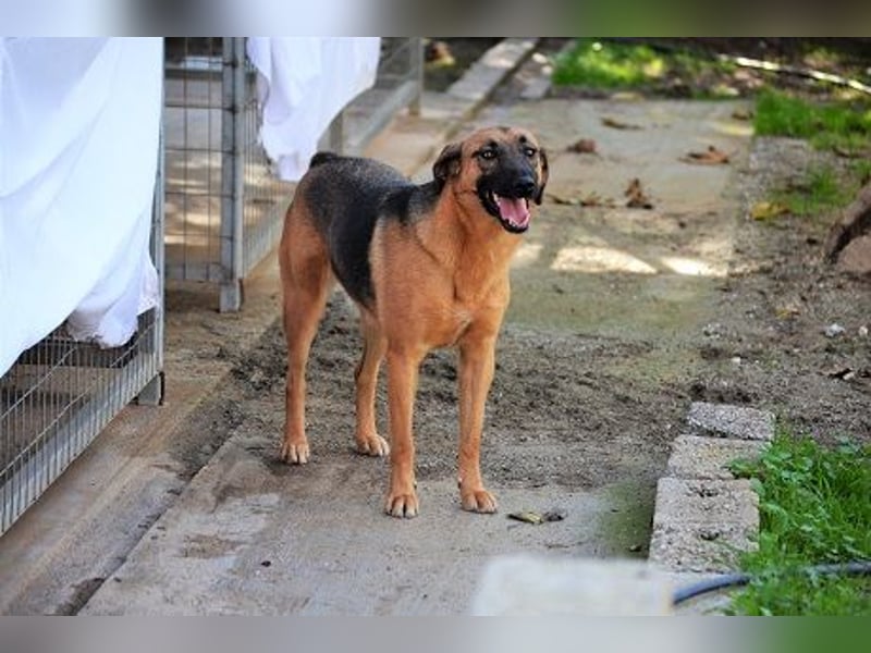 Saya - nach 7 Jahren jetzt eine tolle Verwandlung!