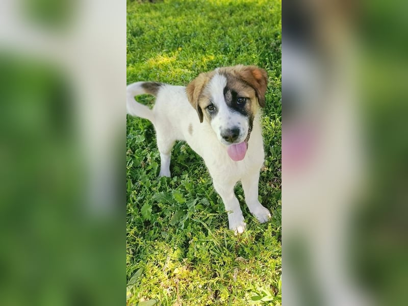 Berlin - möchte die Welt erobern! Mit Ihnen?