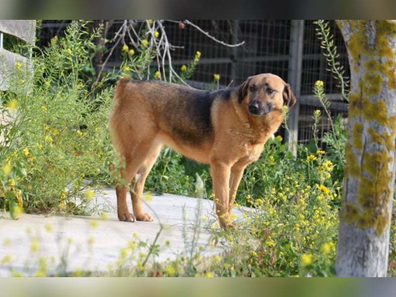 Saya - nach 7 Jahren jetzt eine tolle Verwandlung!