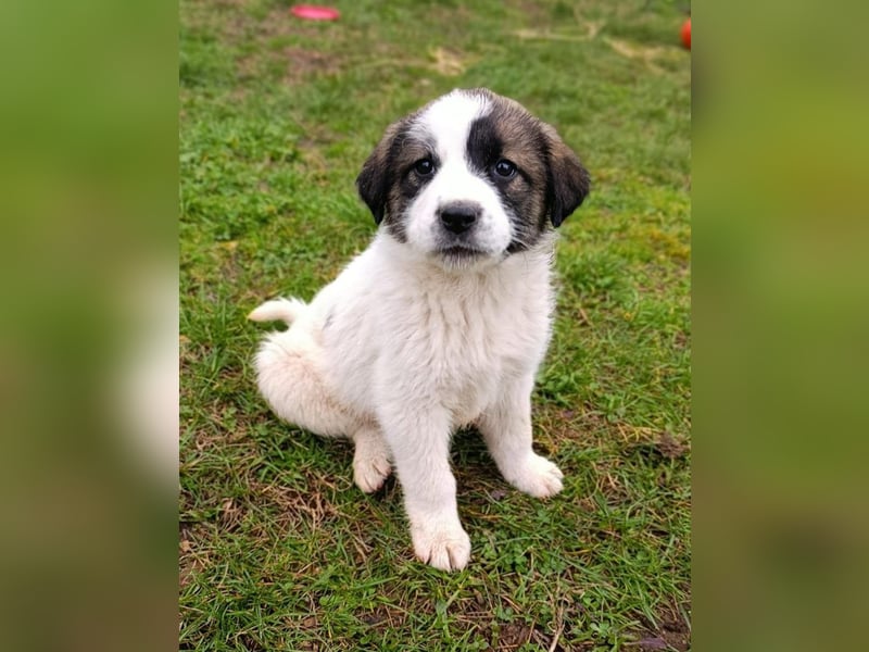 Berlin - möchte die Welt erobern! Mit Ihnen?