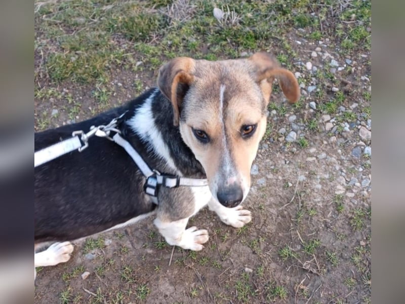 Tara-Joy - Lebensfreude pur