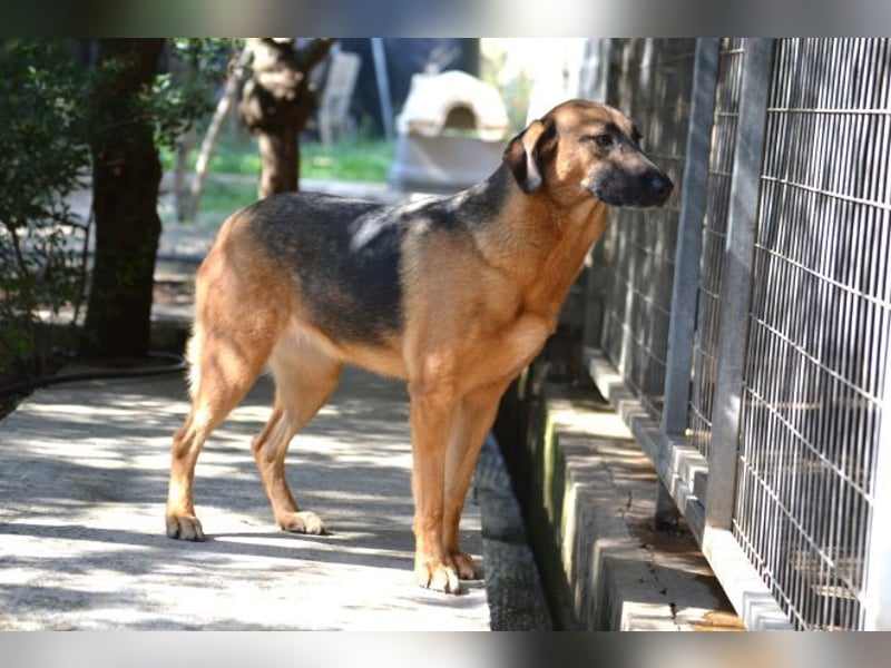 Saya - nach 7 Jahren jetzt eine tolle Verwandlung!