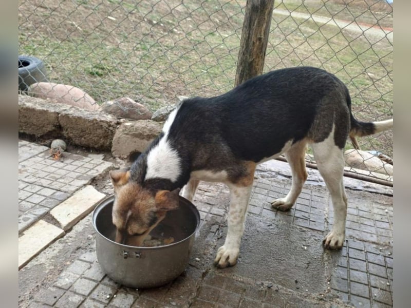 Tara-Joy - Lebensfreude pur