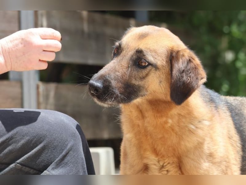 Saya - nach 7 Jahren jetzt eine tolle Verwandlung!