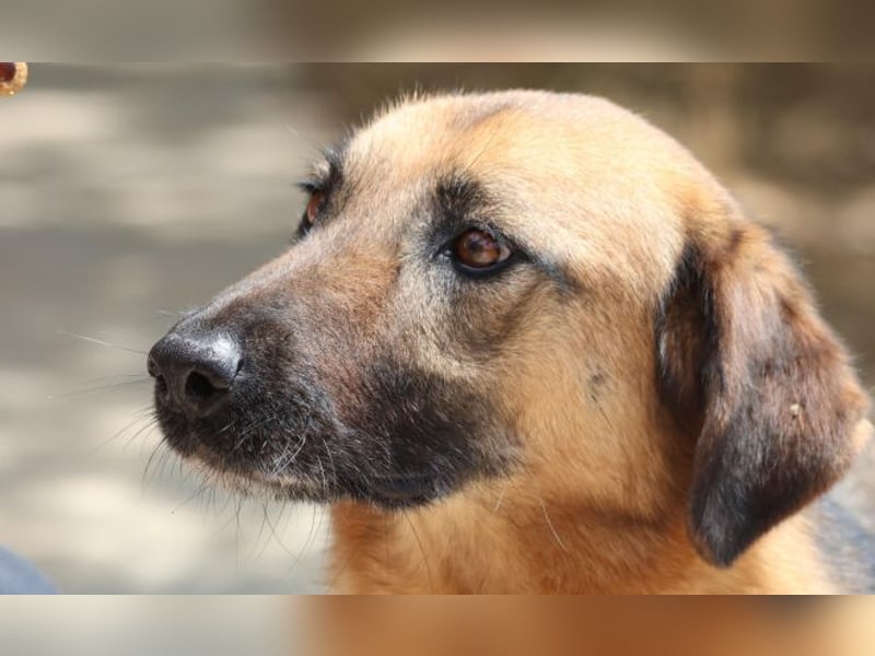 Saya - nach 7 Jahren jetzt eine tolle Verwandlung!