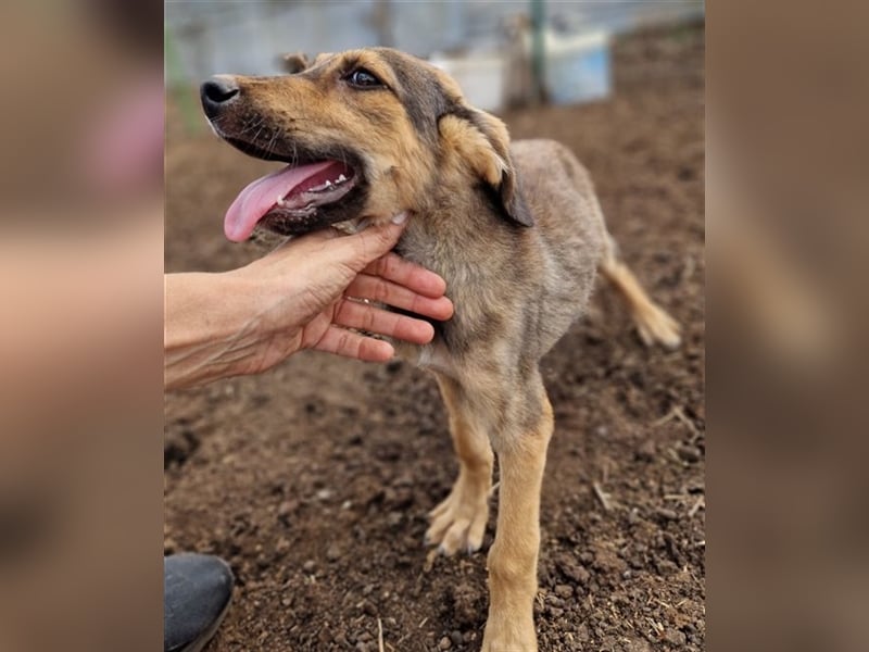 Matheo - wurde mit seinen Geschwistern an einer sehr stark befahrenen Straße geboren