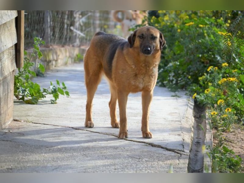 Saya - nach 7 Jahren jetzt eine tolle Verwandlung!