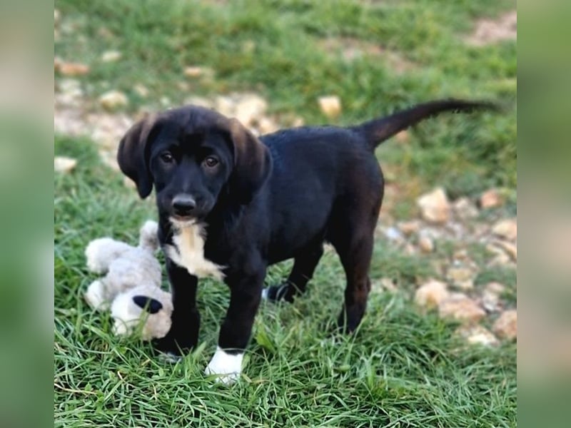 Felipe - kleiner Herzensbrecher