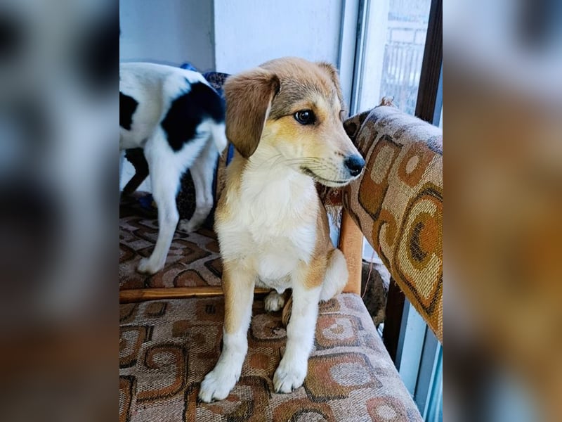 Palma - zu wem darf ich gehören?