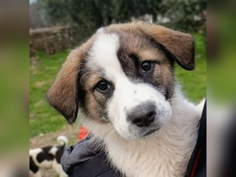 Berlin - möchte die Welt erobern! Mit Ihnen?