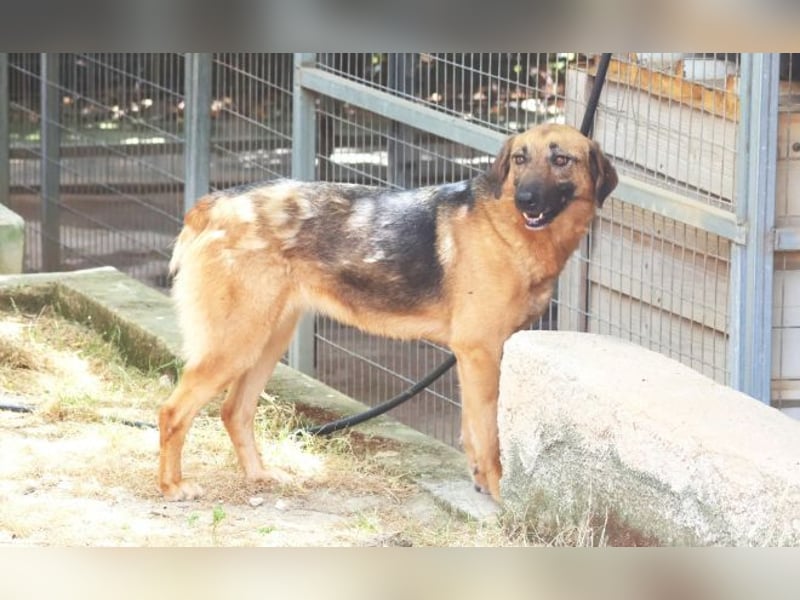 Saya - nach 7 Jahren jetzt eine tolle Verwandlung!