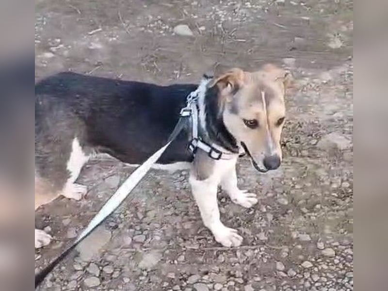 Tara-Joy - Lebensfreude pur