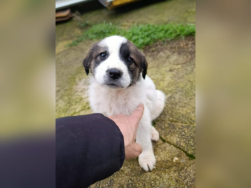 Berlin - möchte die Welt erobern! Mit Ihnen?