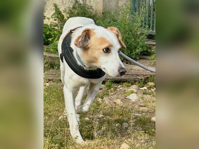 Bimba, schon ziemlich eigenständig