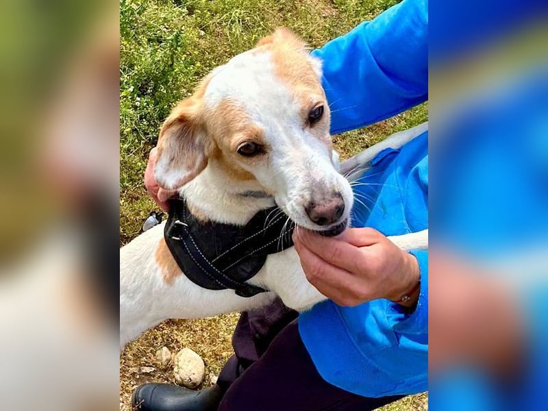 Bimba, schon ziemlich eigenständig