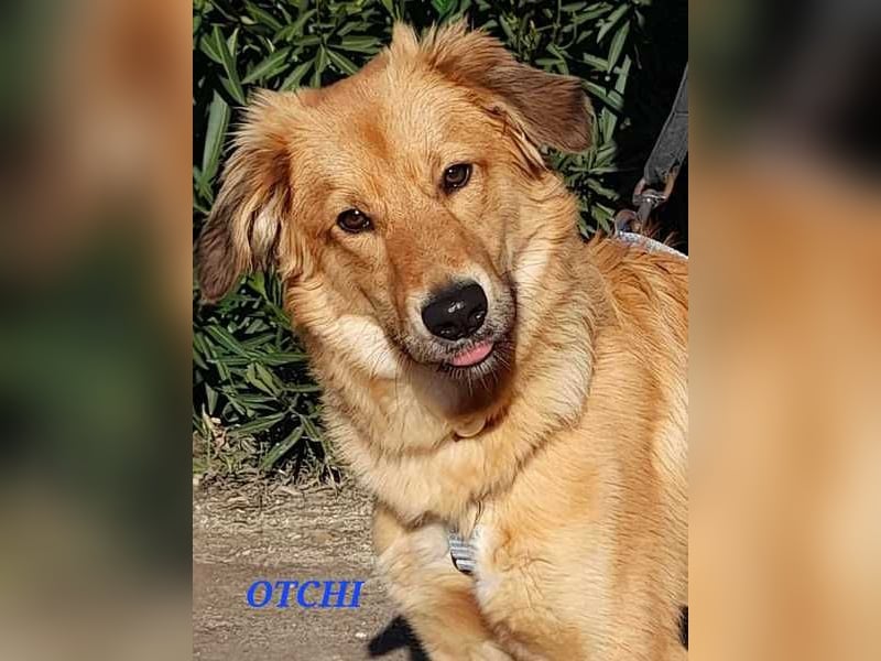 Otschi, noch ausbaufähig