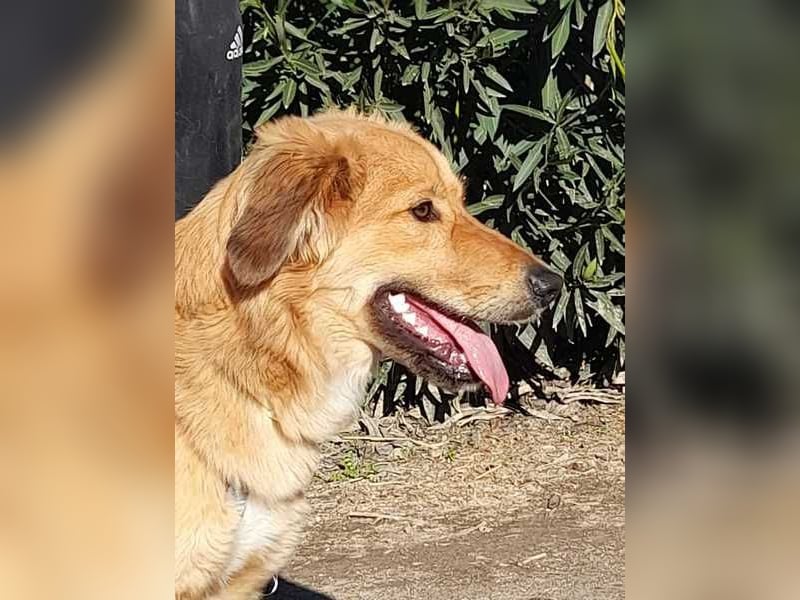 Otschi, noch ausbaufähig