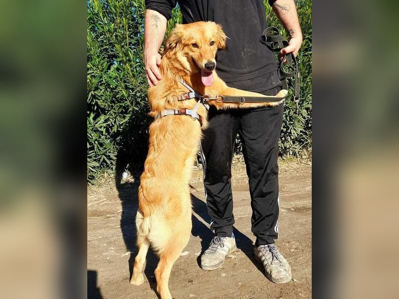 Otschi, noch ausbaufähig